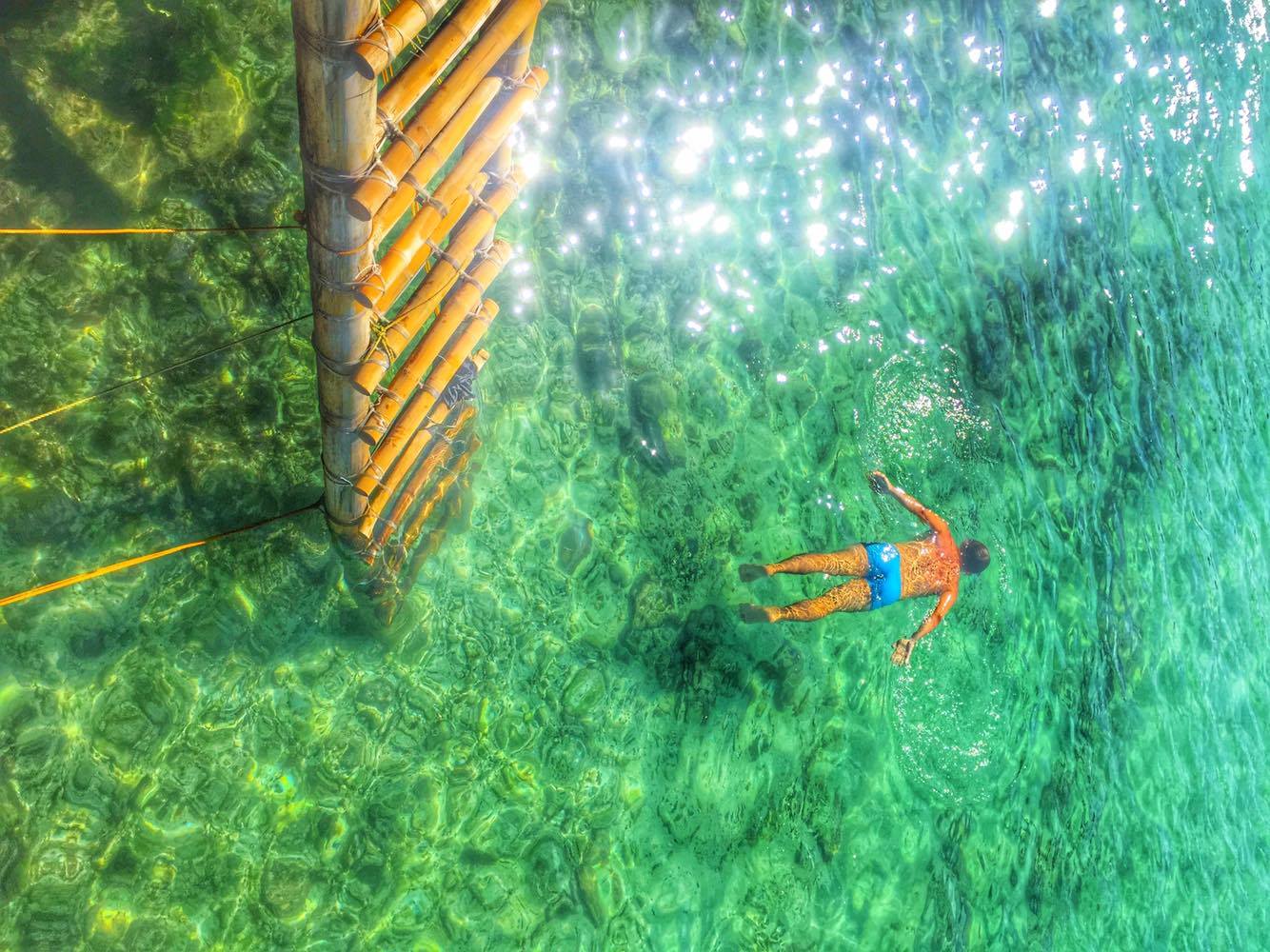 12443735_10154636991823502_701434048_o