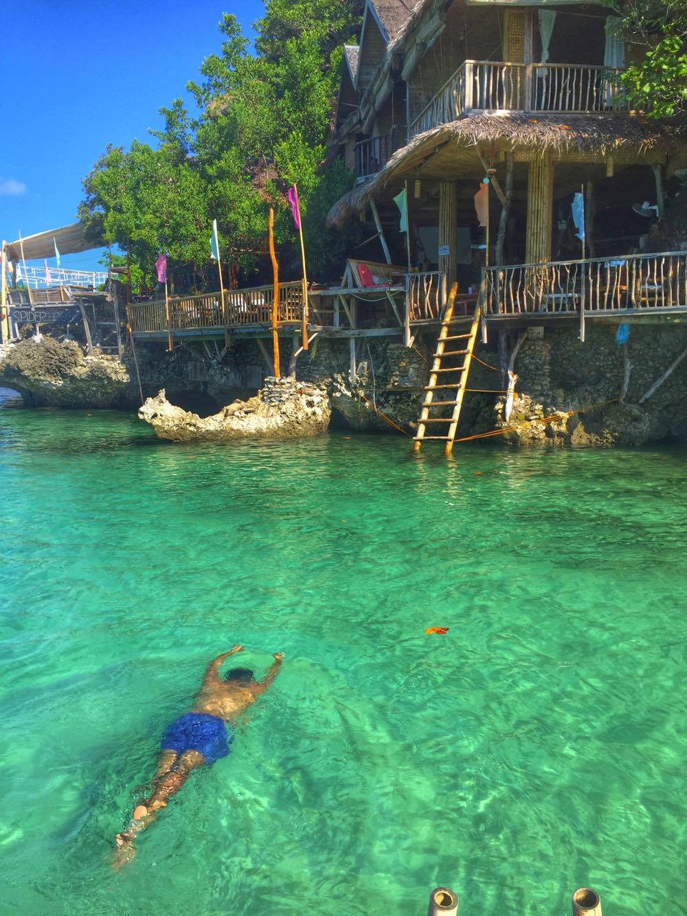 12675059_10154636991583502_1113572961_o