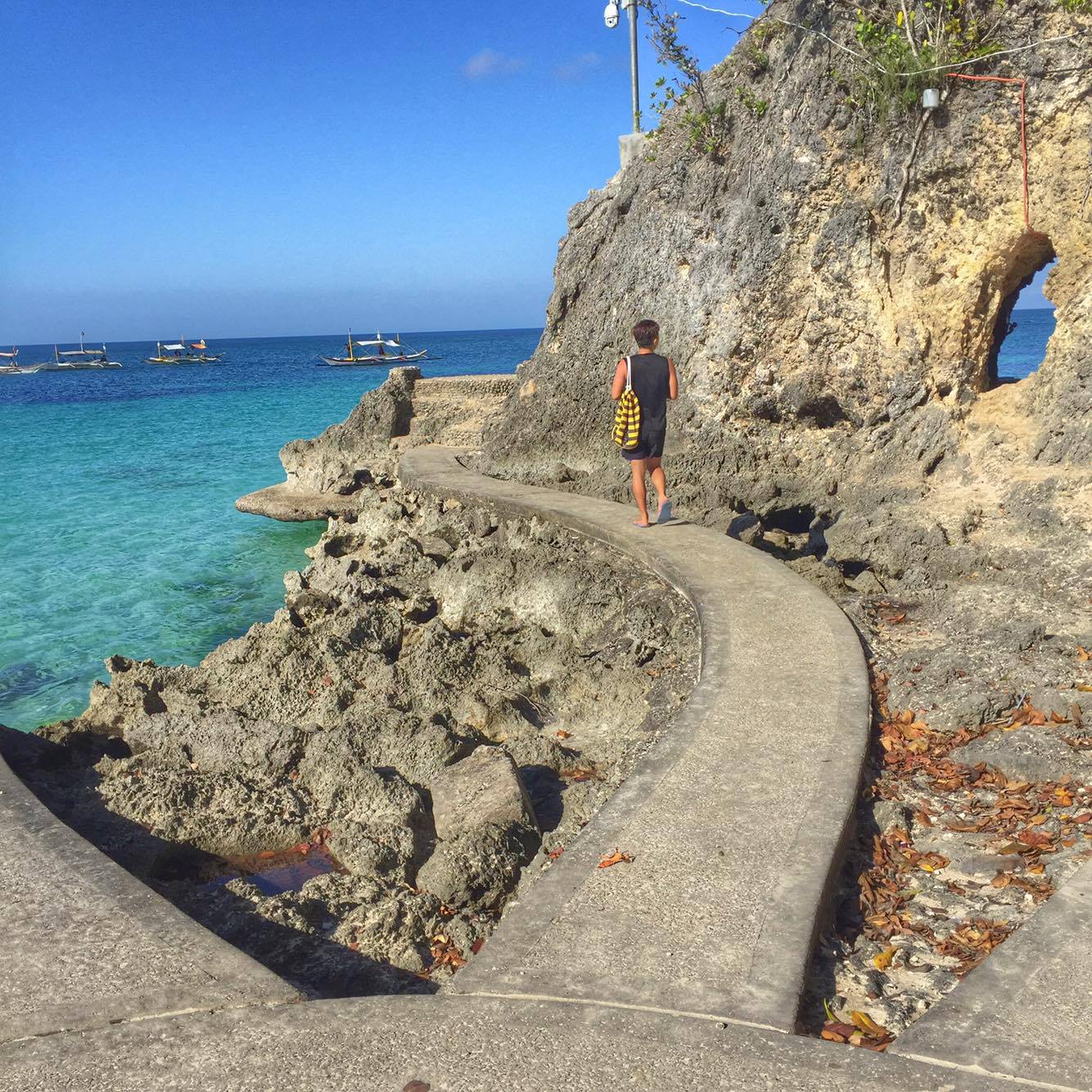 12873578_10154637032153502_2066008704_o