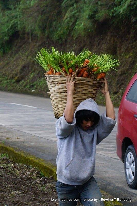 Carrot Man Jeyrick Sigmaton Viral KMJS Mountain Province farmer Edwina Bandong