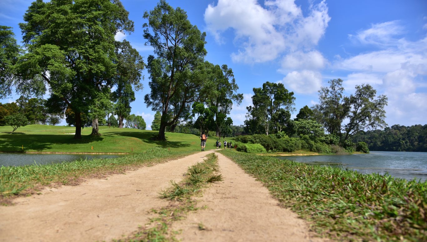 trek at macritchie park singapore
