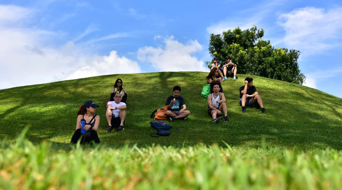 middel earth like at macritchie park