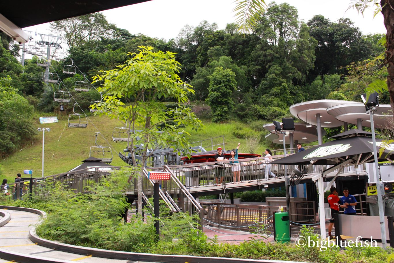 luge at sentosa